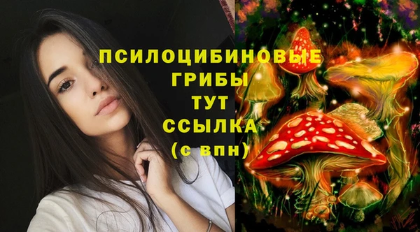 герыч Абинск