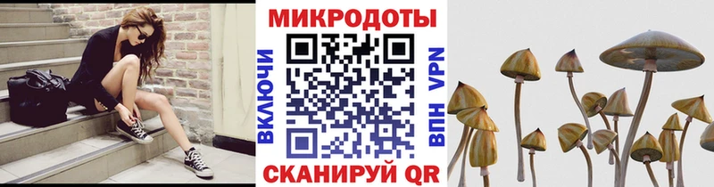 Псилоцибиновые грибы Cubensis  наркошоп  Щёкино 